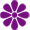 окраска цветков:фиолетовый